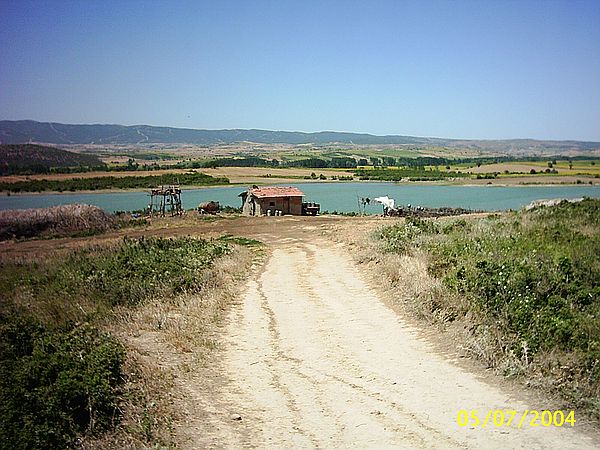 M2061M-1015