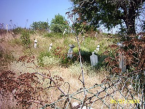 M2061M-1015