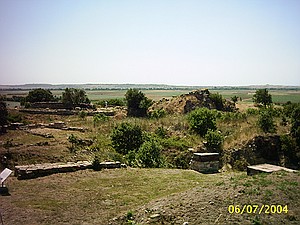 M2061M-1015